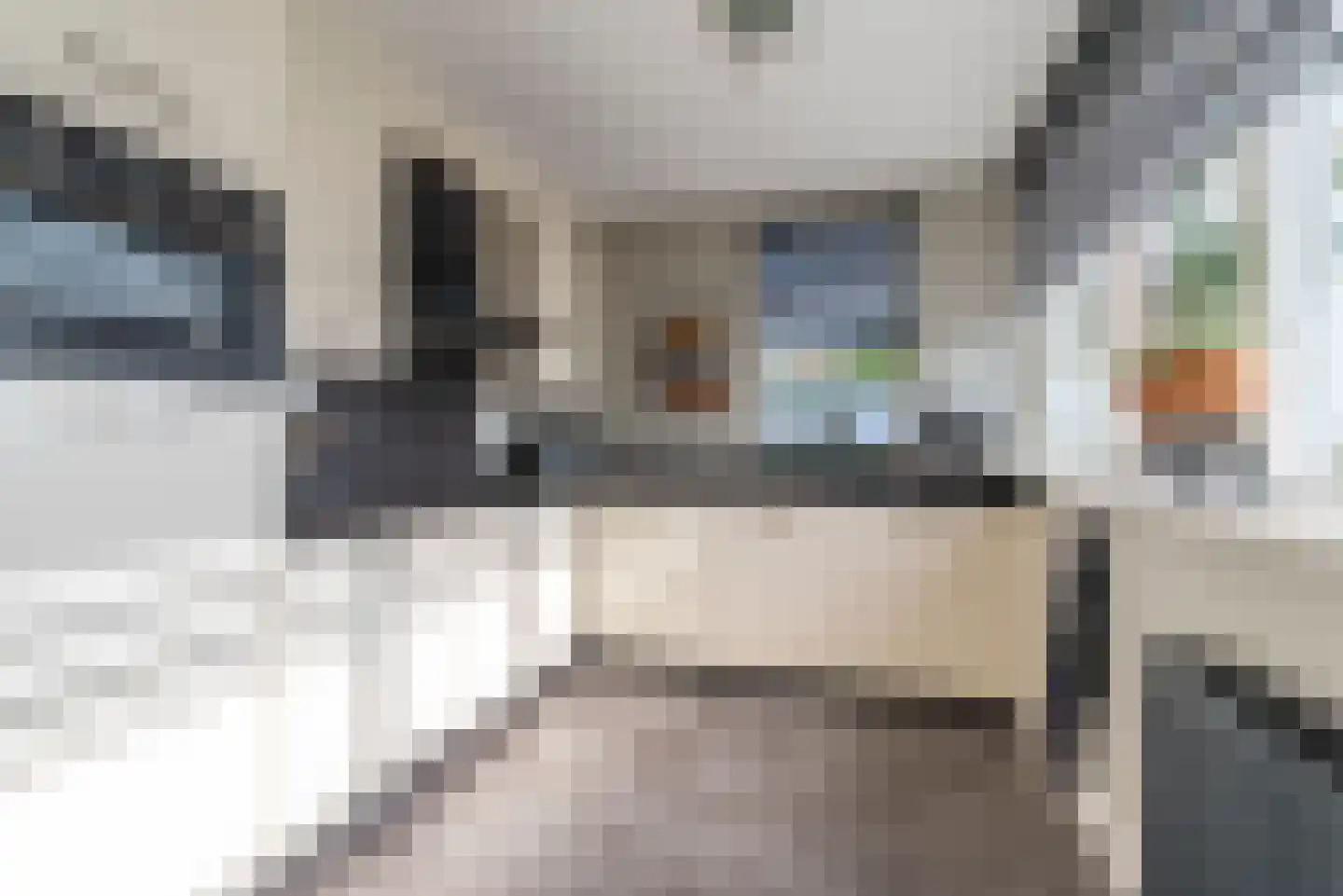 Oleander 7 Veenendaal thumbnail 15