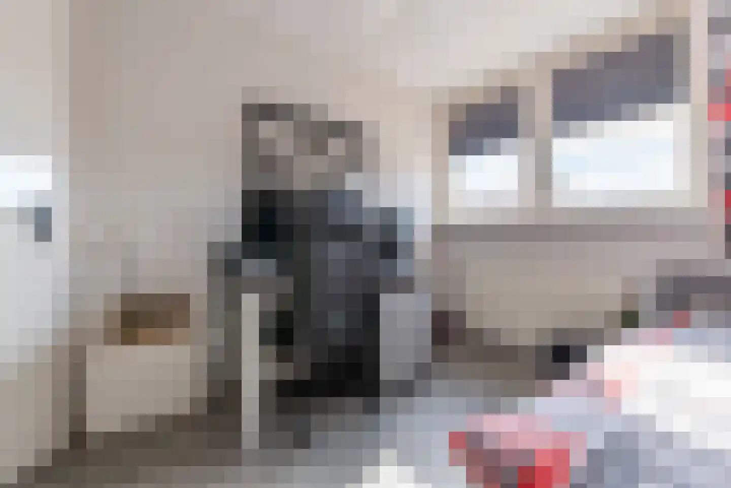 Oleander 7 Veenendaal thumbnail 22