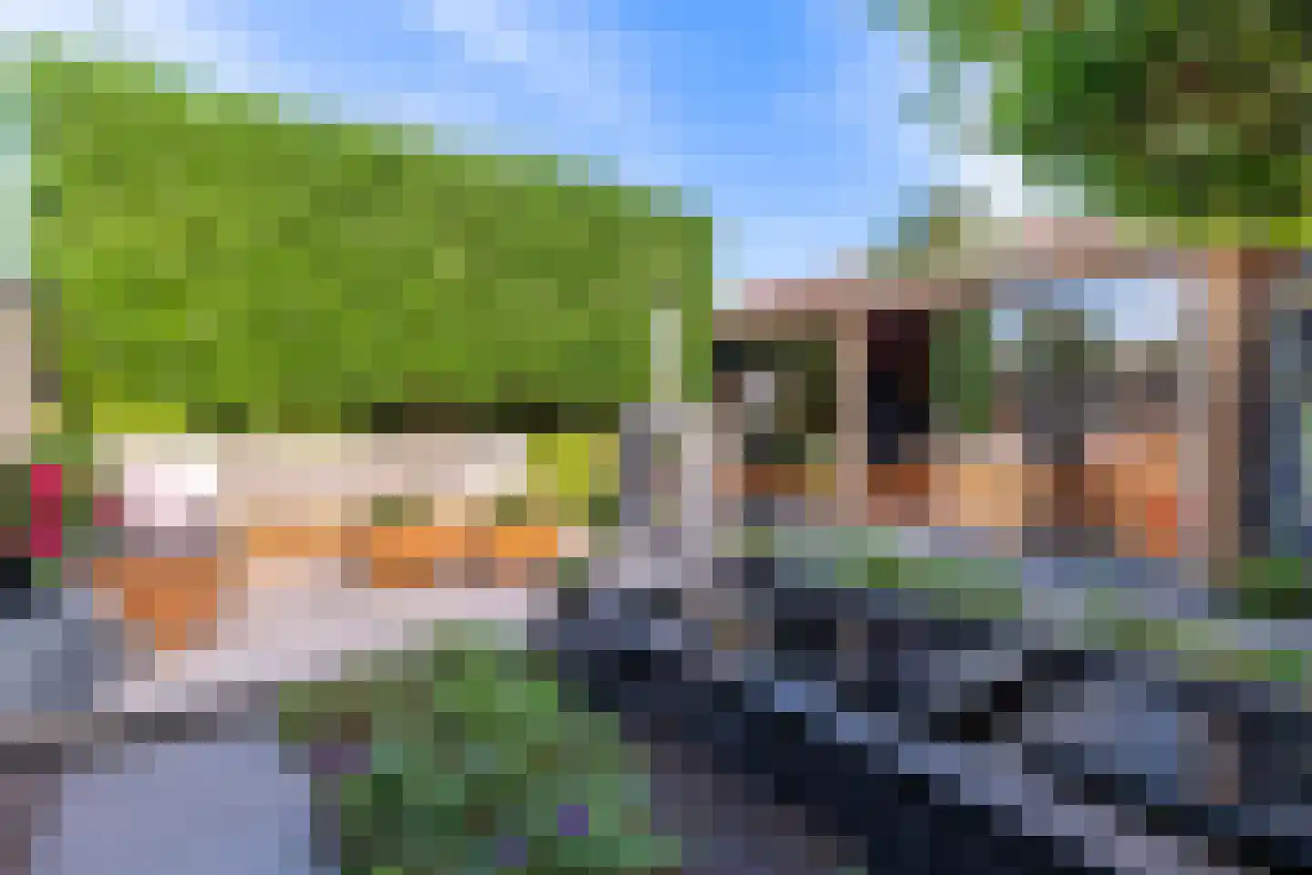 Oleander 7 Veenendaal thumbnail 39