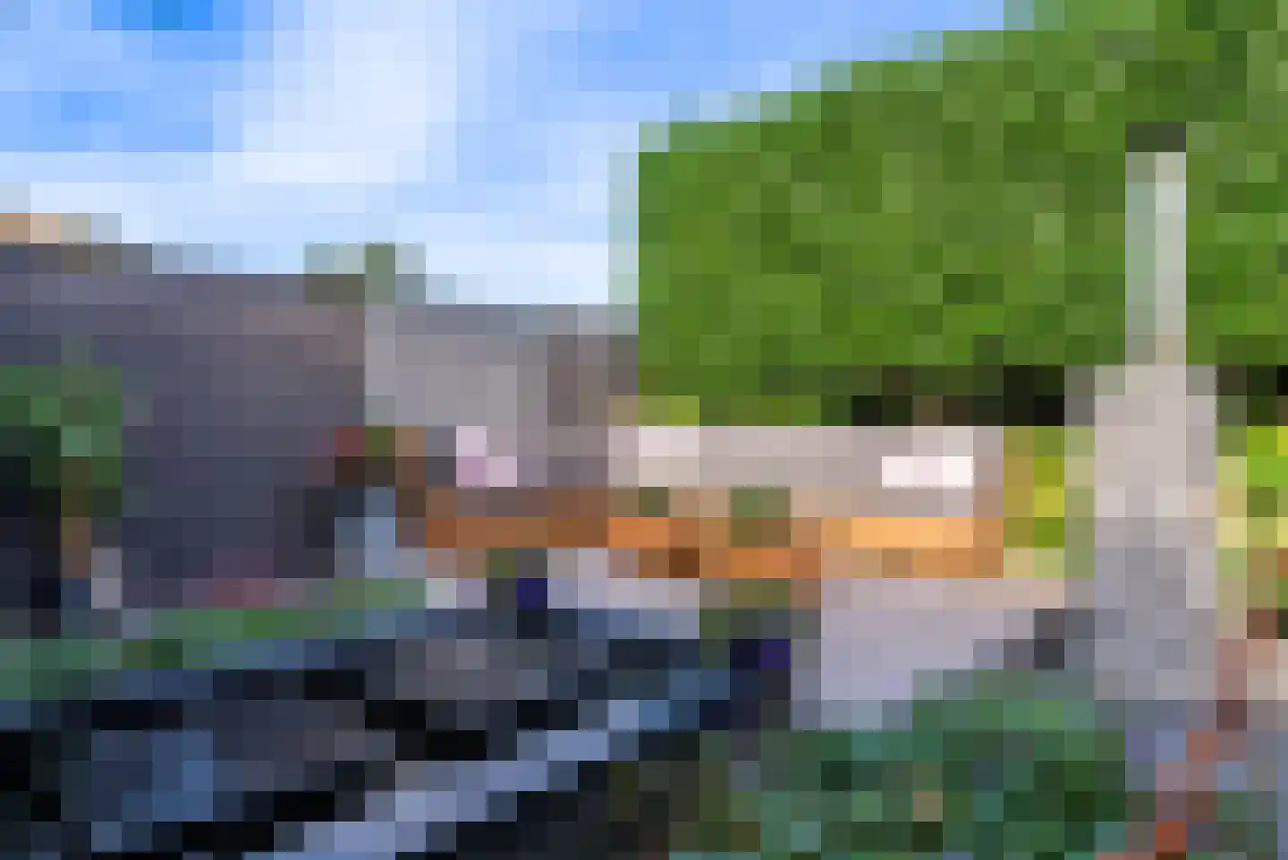 Oleander 7 Veenendaal thumbnail 43