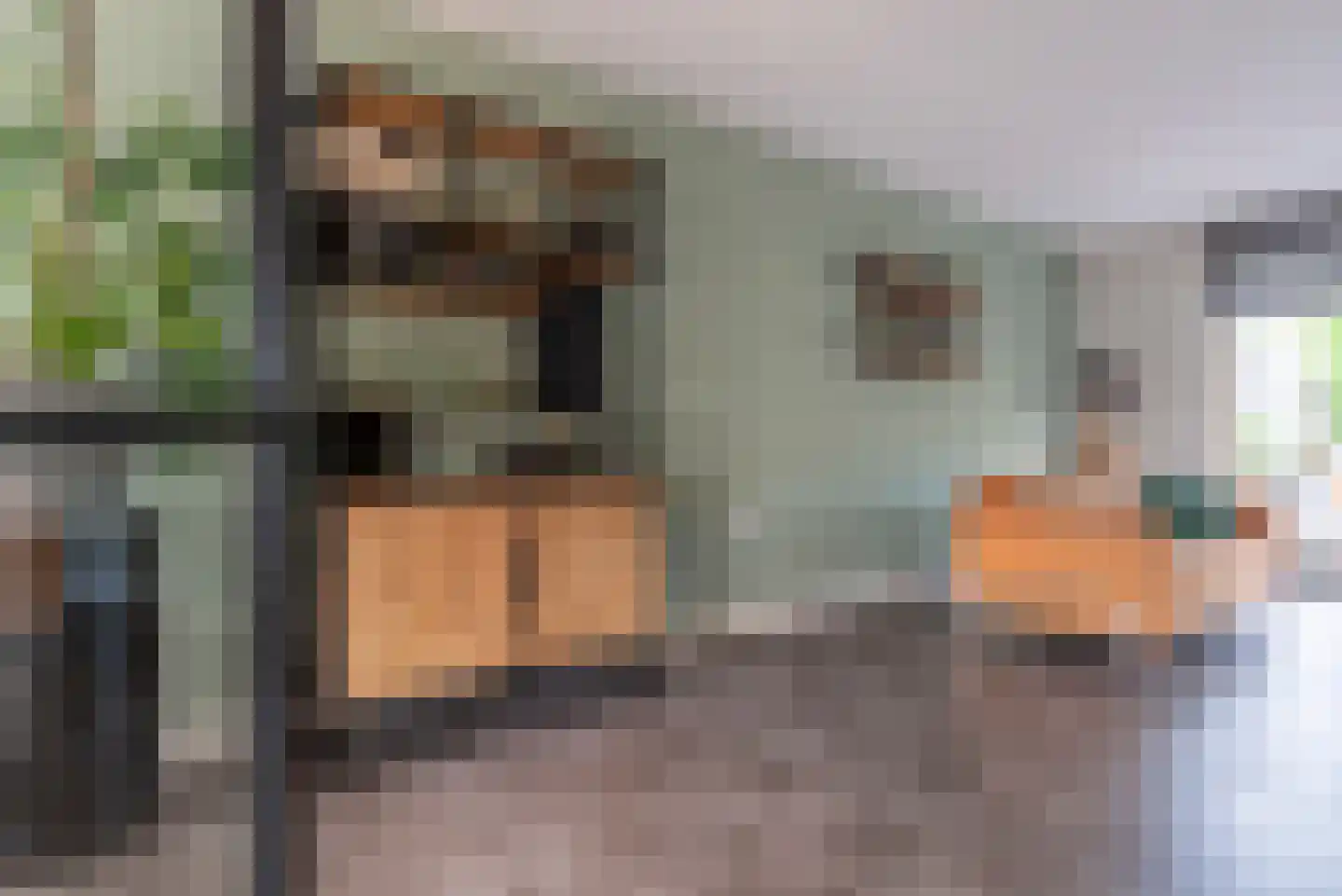 Oleander 7 Veenendaal thumbnail 6