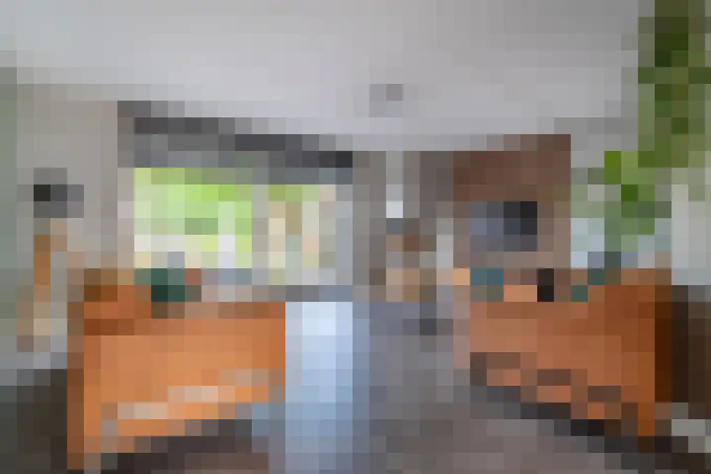 Oleander 7 Veenendaal thumbnail 7