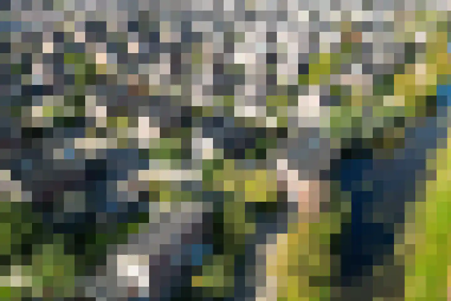 Oleanderhage 20 Assen thumbnail 12