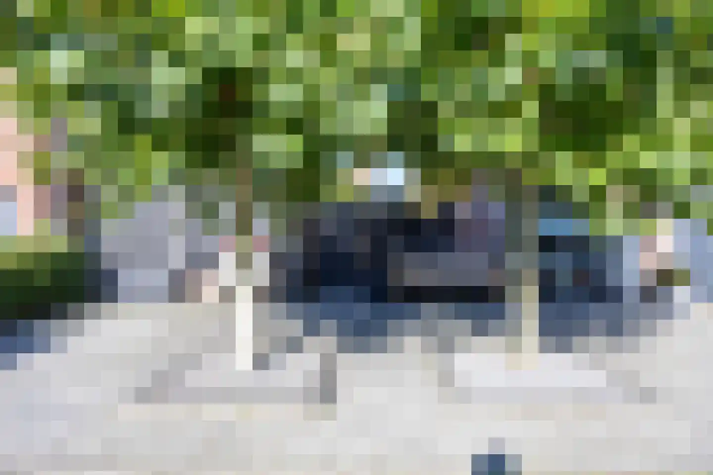 Oleanderhage 20 Assen thumbnail 19