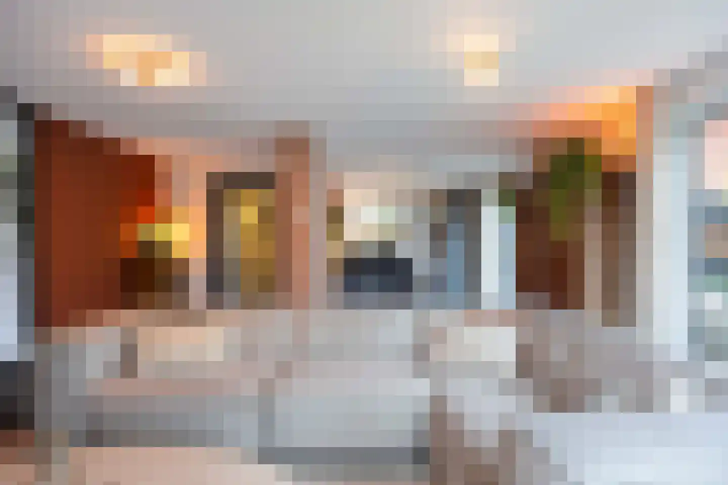 Oleanderhage 20 Assen thumbnail 25