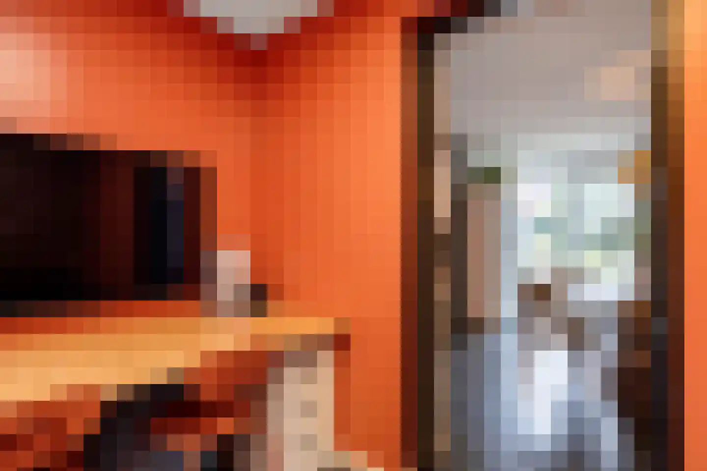 Oleanderhage 20 Assen thumbnail 34