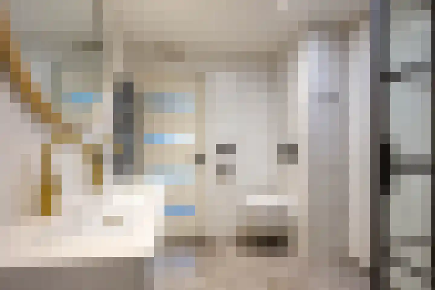 Oleanderhage 20 Assen thumbnail 52