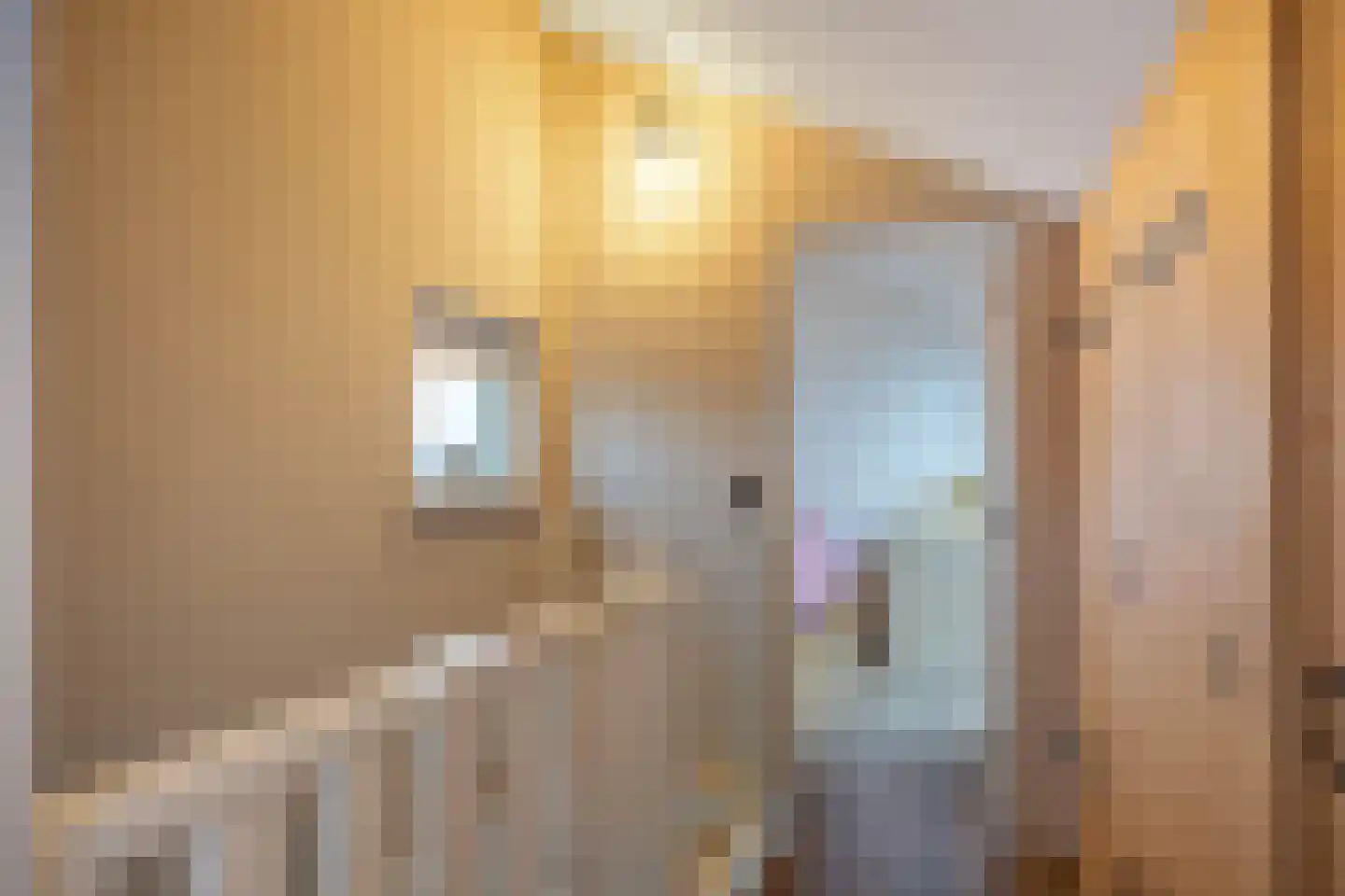 Oleanderhage 20 Assen thumbnail 58