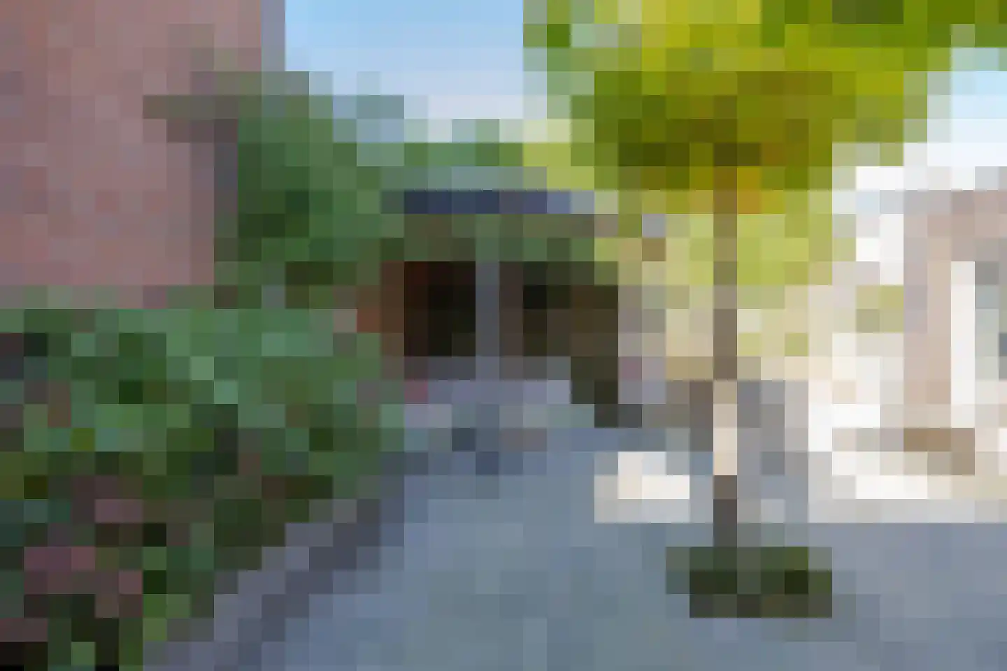 Oleanderhage 20 Assen thumbnail 66