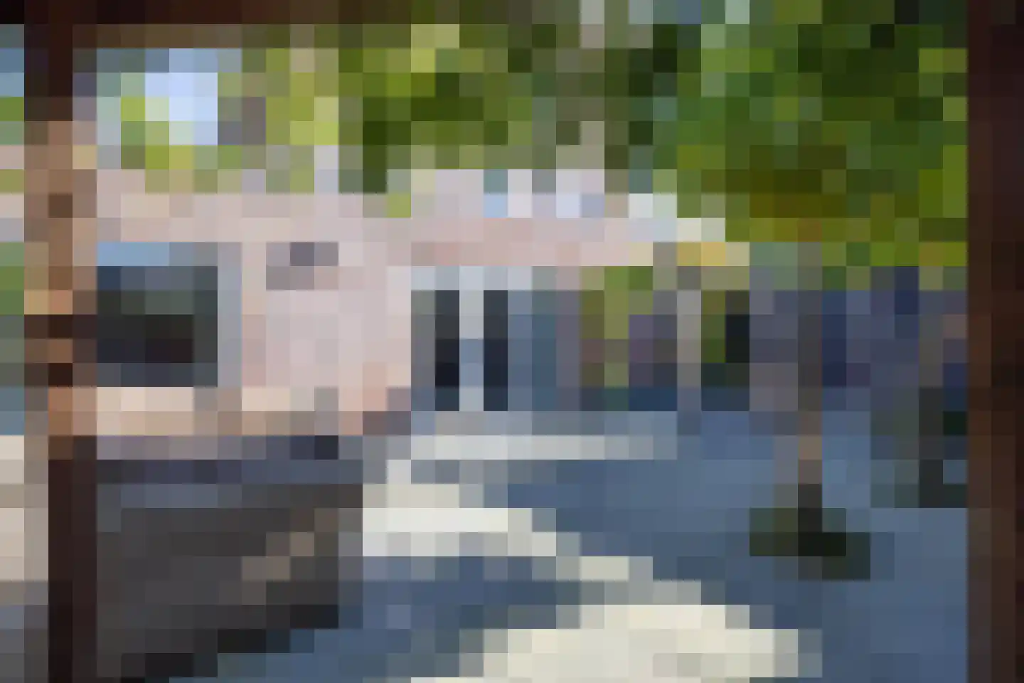 Oleanderhage 20 Assen thumbnail 67