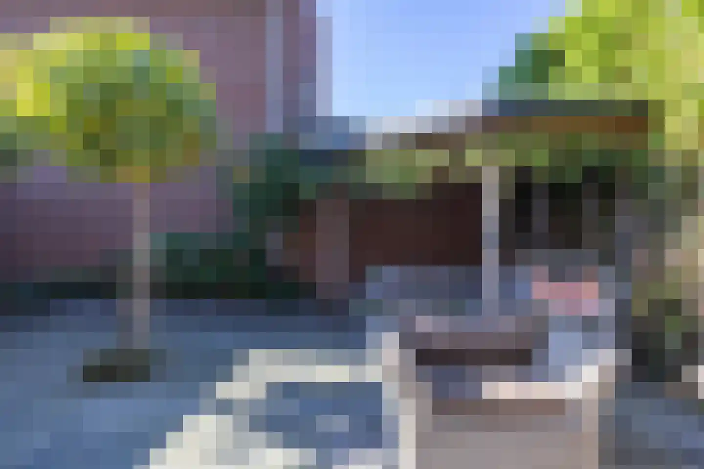 Oleanderhage 20 Assen thumbnail 69