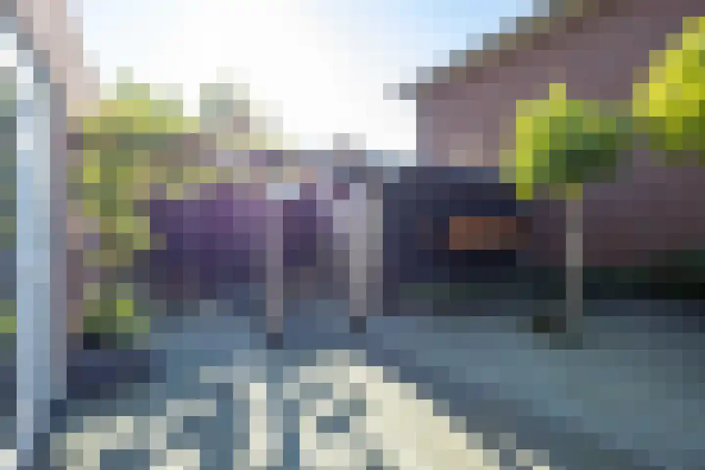 Oleanderhage 20 Assen thumbnail 70