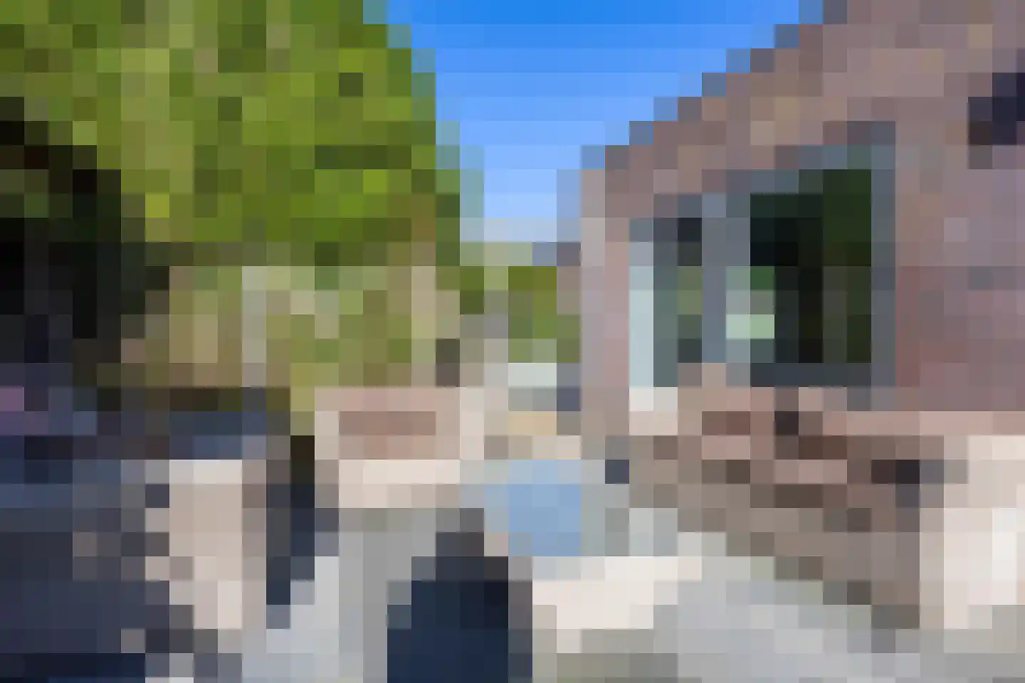 Oleanderhage 20 Assen thumbnail 71