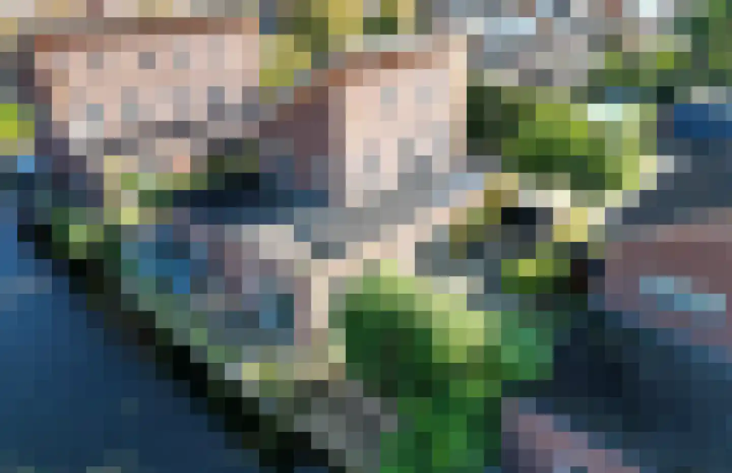 Oleanderhage 20 Assen thumbnail 77