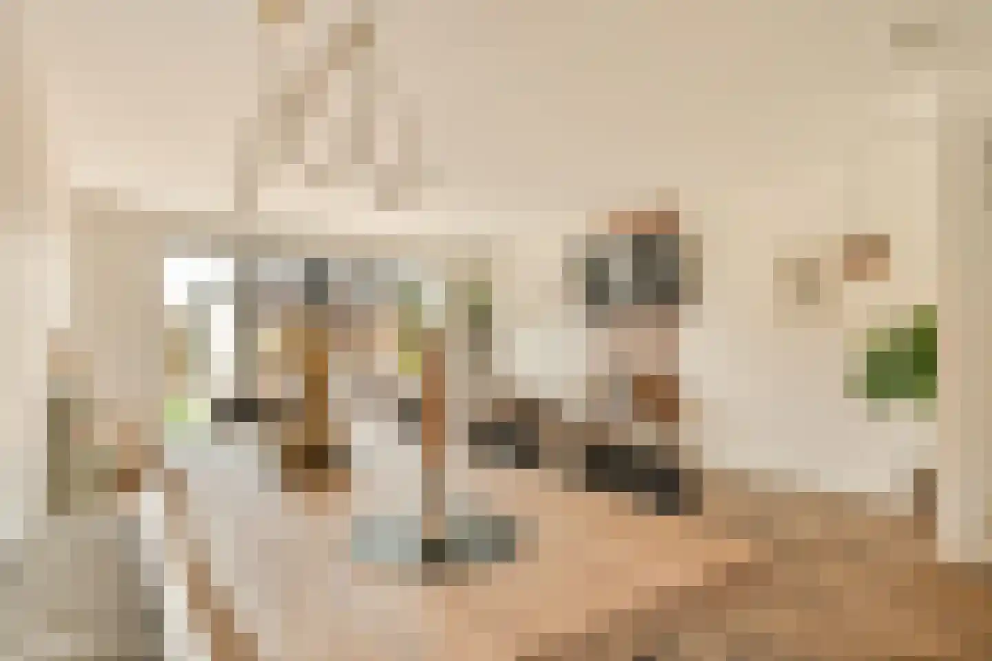 Oleanderlaan 114 Badhoevedorp thumbnail 10