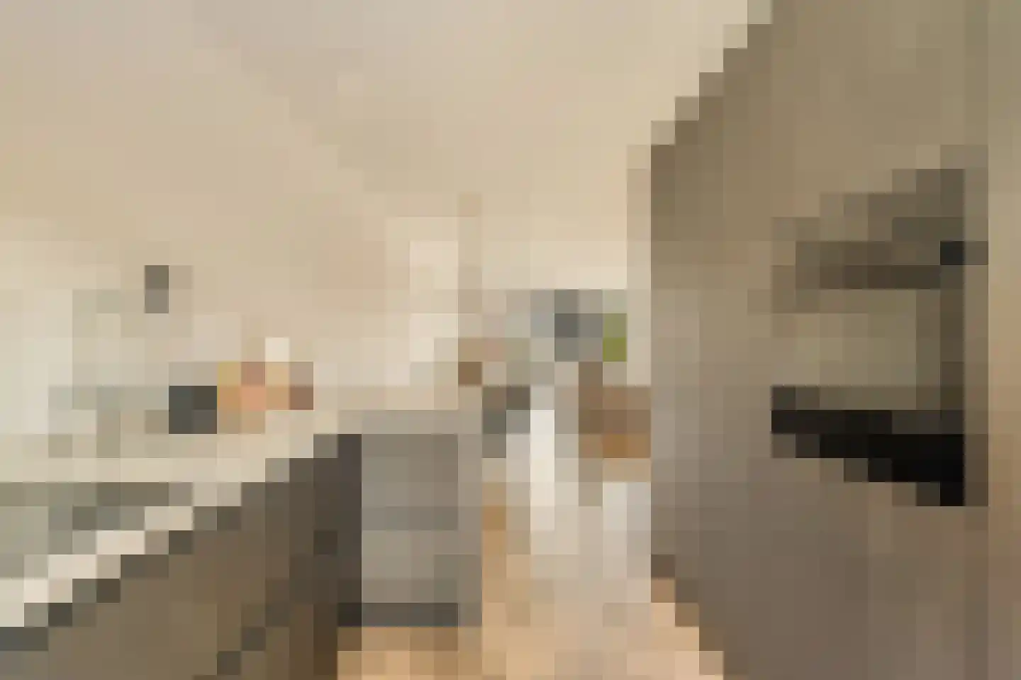 Oleanderlaan 114 Badhoevedorp thumbnail 14