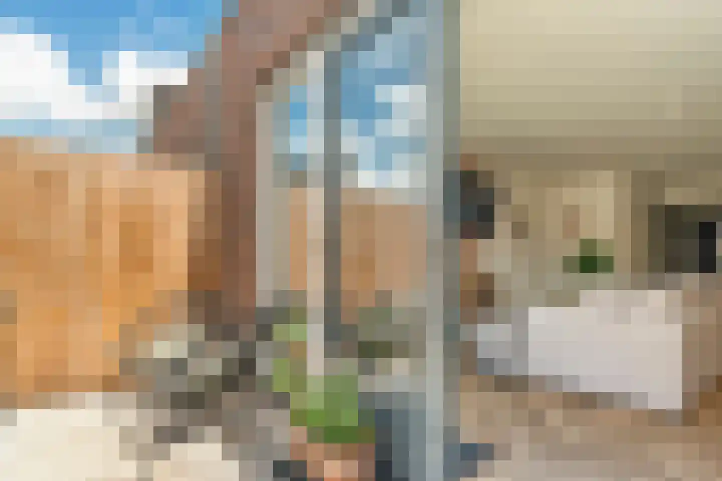 Oleanderlaan 114 Badhoevedorp thumbnail 19