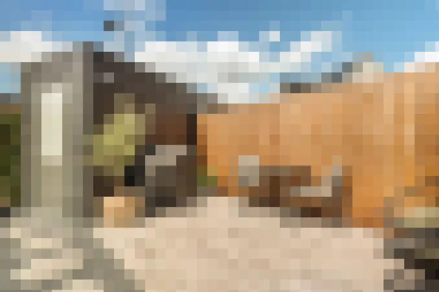 Oleanderlaan 114 Badhoevedorp thumbnail 22