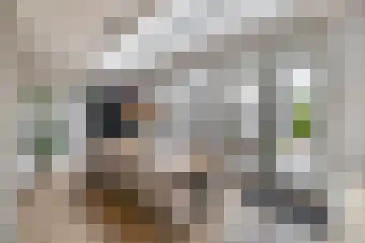 Oleanderlaan 2 Badhoevedorp thumbnail 11