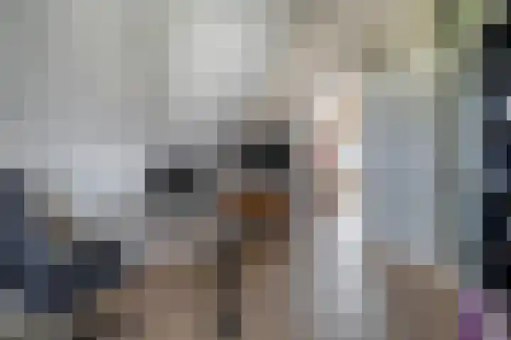 Oleanderlaan 2 Badhoevedorp thumbnail 37
