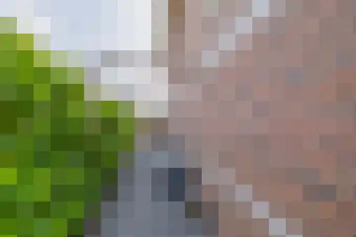Oleanderlaan 2 Badhoevedorp thumbnail 42