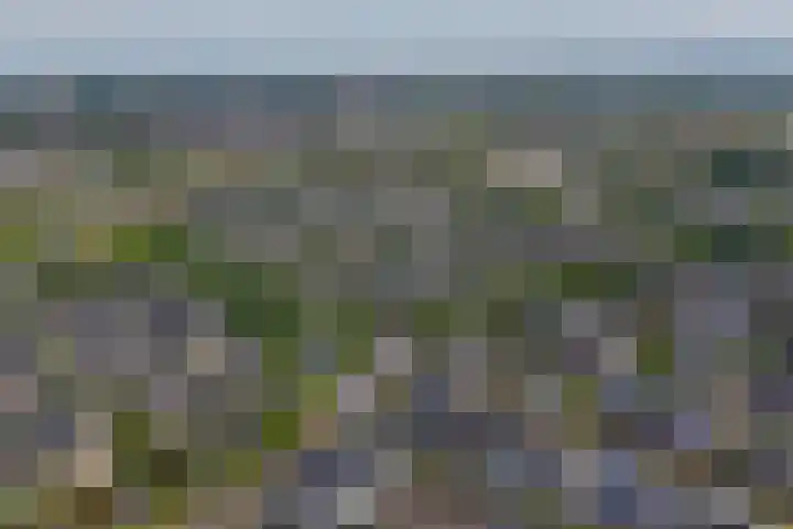 Oleanderlaan 2 Badhoevedorp thumbnail 48