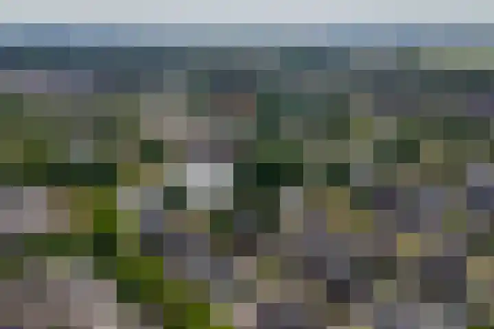 Oleanderlaan 2 Badhoevedorp thumbnail 52