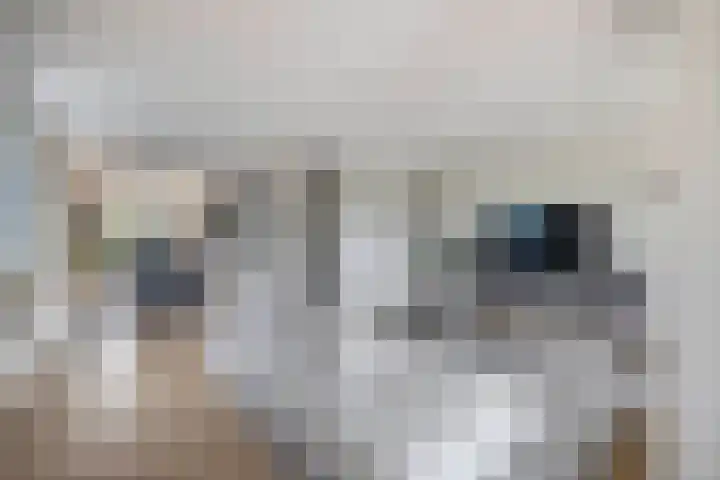 Oleanderlaan 2 Badhoevedorp thumbnail 9