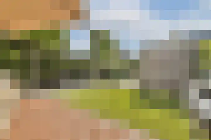 Oleanderlaan 27 Badhoevedorp thumbnail 15