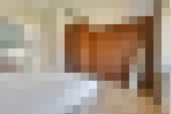 Oleanderlaan 27 Badhoevedorp thumbnail 28
