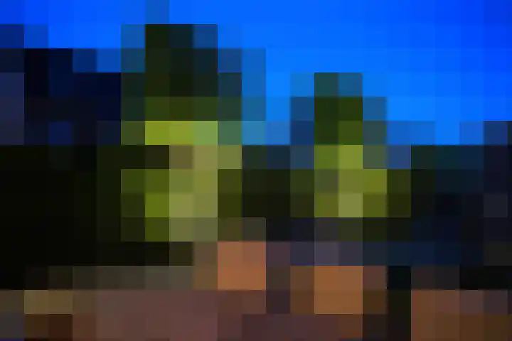 Oleanderlaan 27 Badhoevedorp thumbnail 38