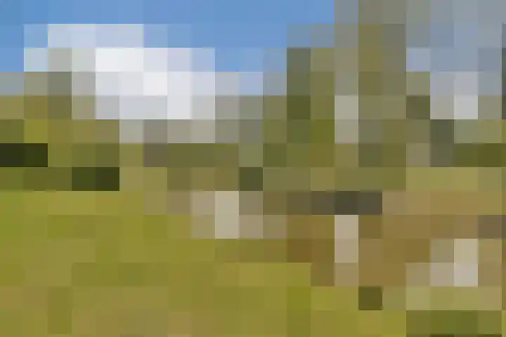 Oleanderlaan 27 Badhoevedorp thumbnail 42