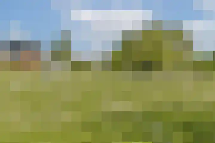 Oleanderlaan 27 Badhoevedorp thumbnail 43
