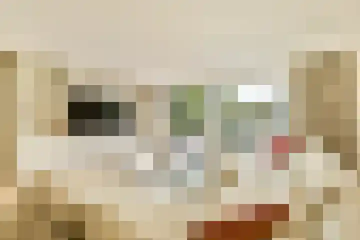 Oleanderlaan 27 Badhoevedorp thumbnail 6