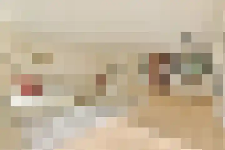 Oleanderlaan 27 Badhoevedorp thumbnail 7