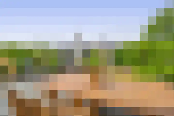 Oleanderlaan 50 Badhoevedorp thumbnail 31