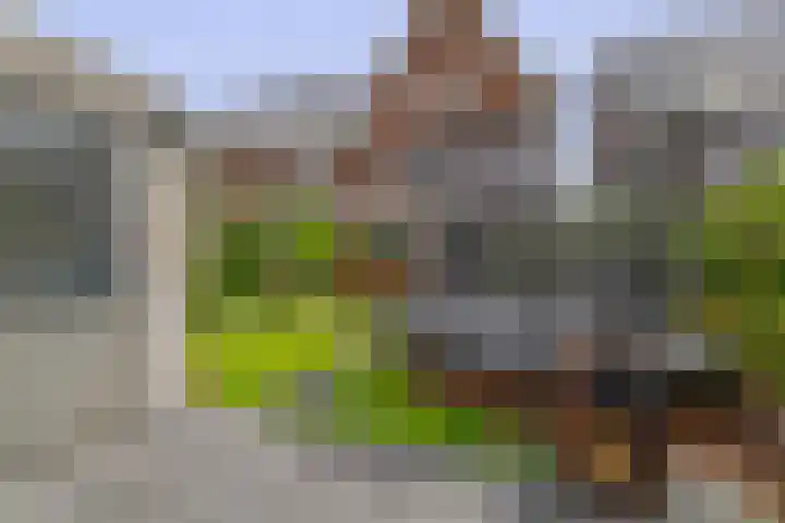 Oleanderlaan 50 Badhoevedorp thumbnail 32
