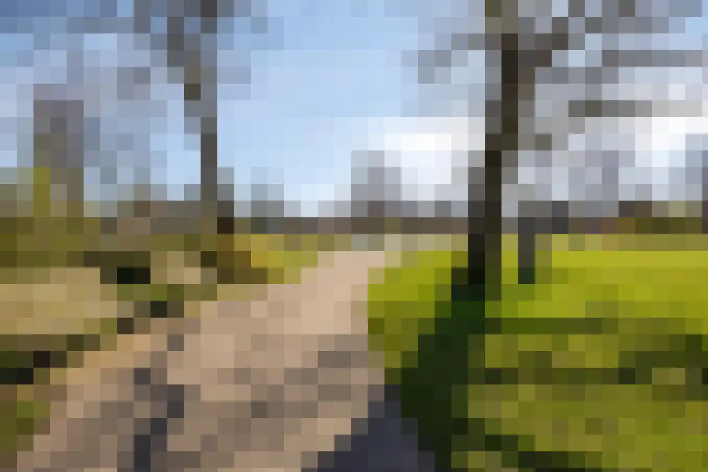 Oleanderlaan 52 Badhoevedorp thumbnail 73