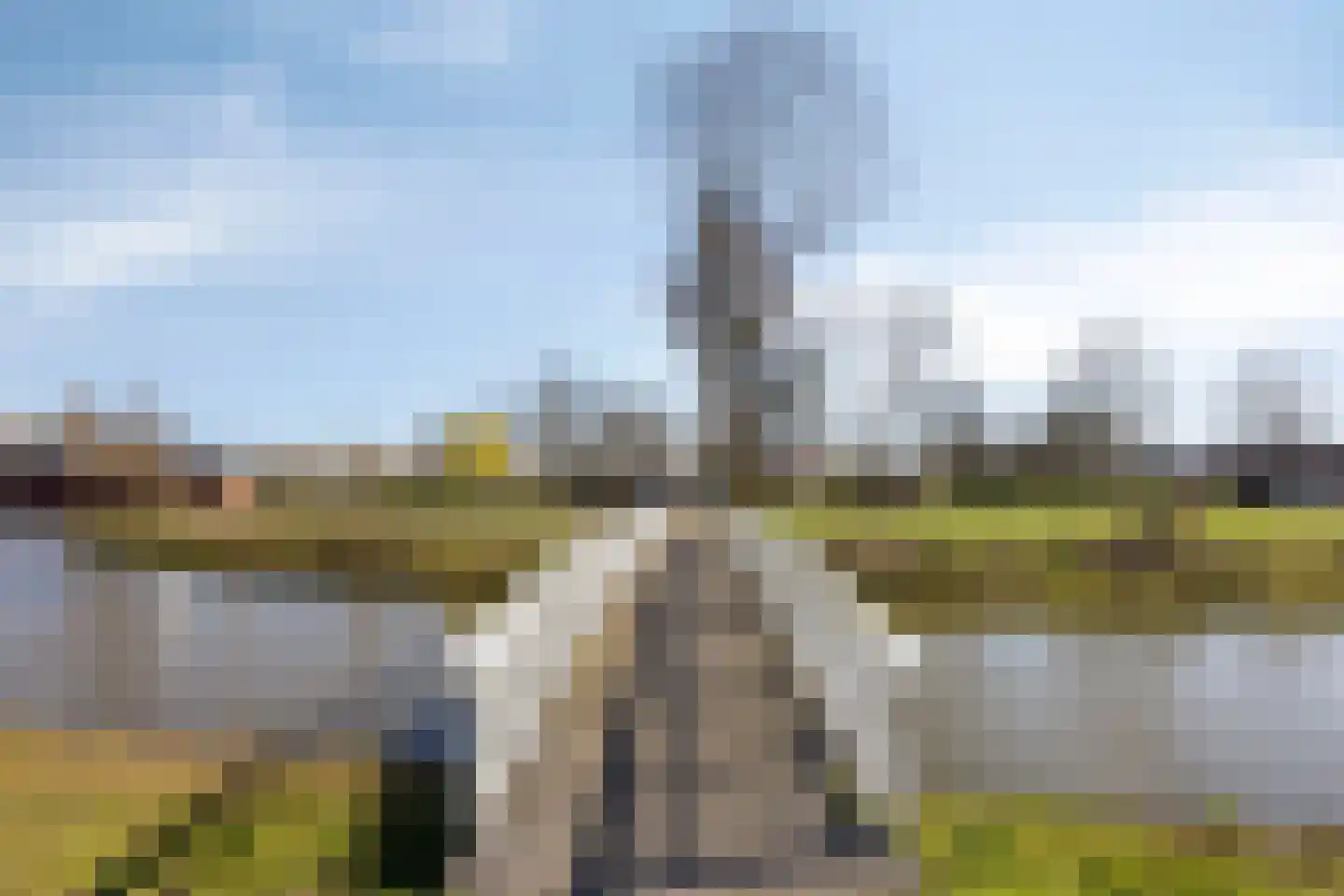 Oleanderlaan 52 Badhoevedorp thumbnail 74