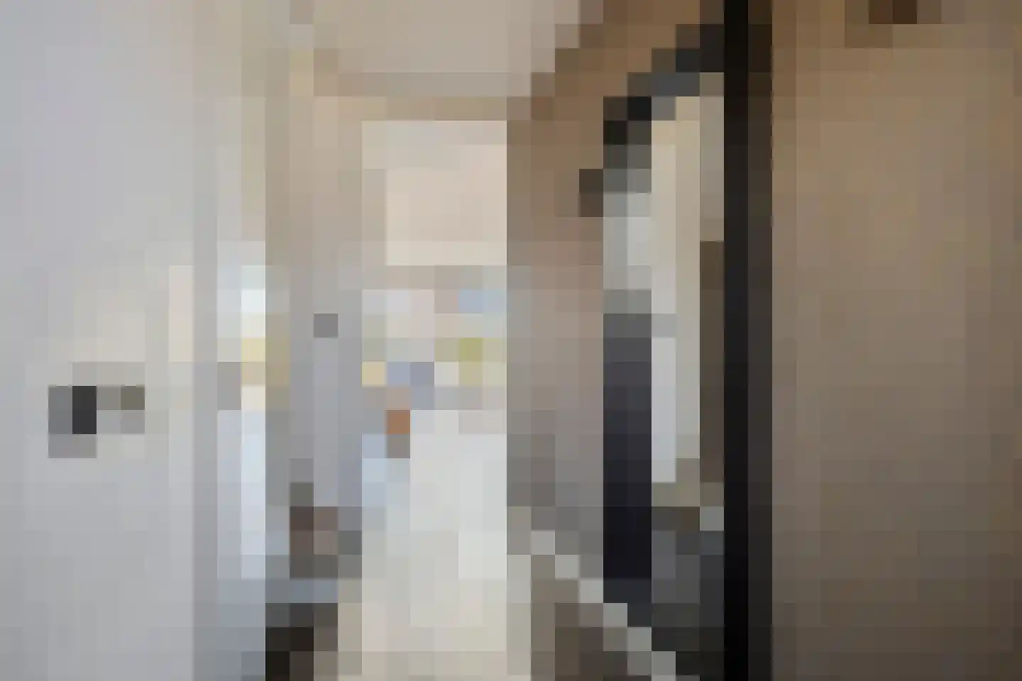 Oleanderlaan 52 Badhoevedorp thumbnail 8