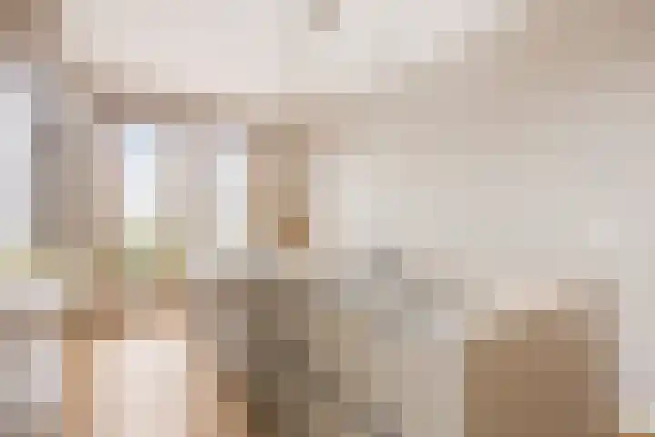 Oleanderlaan 63 Badhoevedorp thumbnail 11