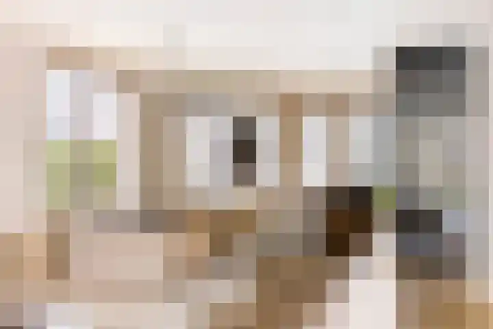 Oleanderlaan 63 Badhoevedorp foto 2