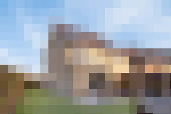 Oleanderlaan 63 Badhoevedorp thumbnail 20