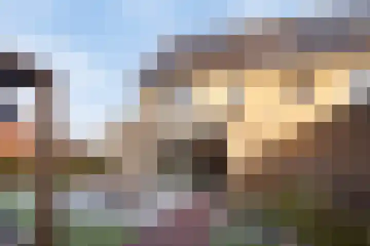 Oleanderlaan 63 Badhoevedorp thumbnail 21