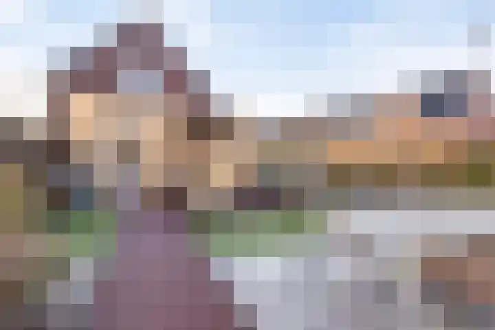 Oleanderlaan 63 Badhoevedorp thumbnail 25