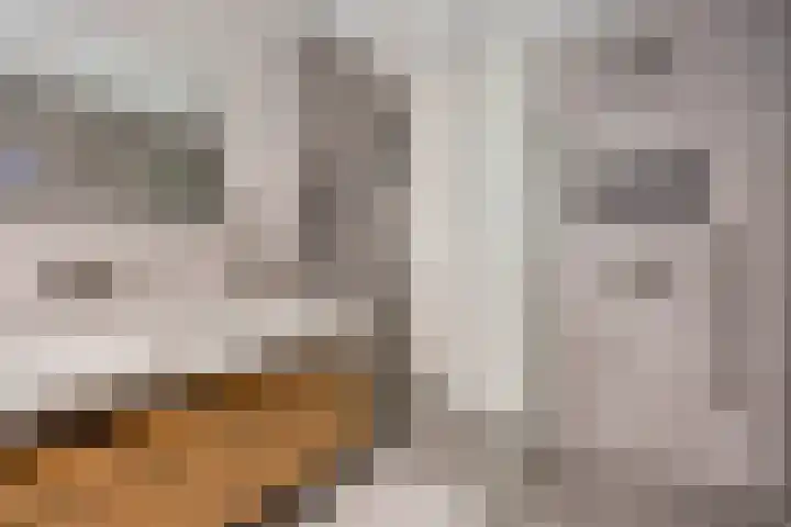 Oleanderlaan 63 Badhoevedorp thumbnail 32
