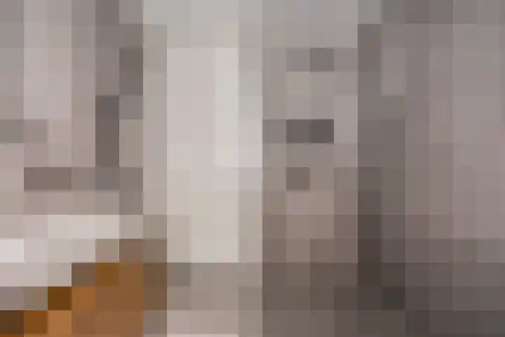 Oleanderlaan 63 Badhoevedorp thumbnail 34