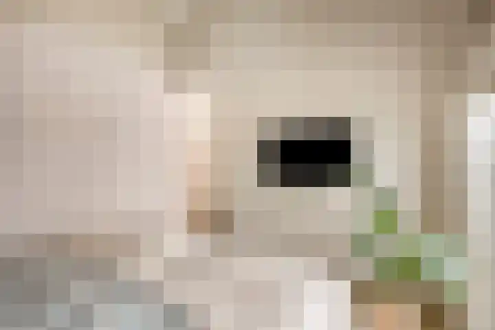 Oleanderlaan 63 Badhoevedorp thumbnail 38
