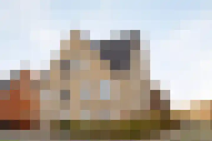 Oleanderlaan 63 Badhoevedorp thumbnail 48