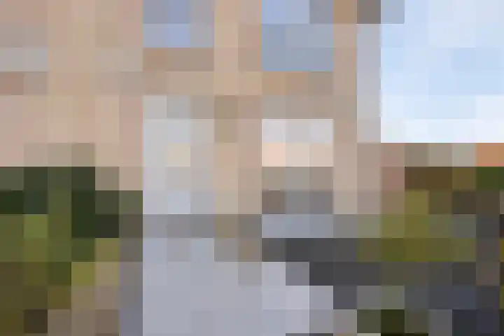 Oleanderlaan 63 Badhoevedorp thumbnail 49